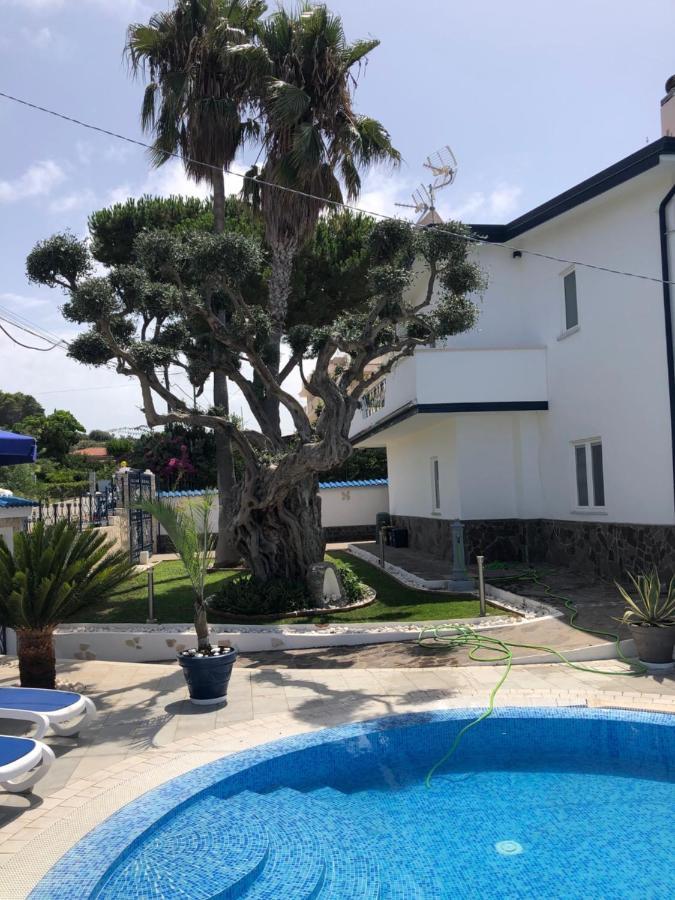 Villa Ludo A Zambrone Tropea Экстерьер фото